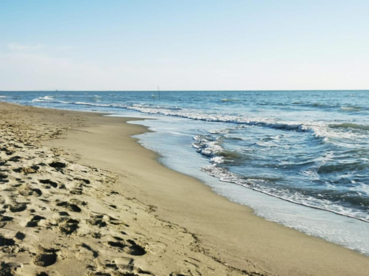 Appartamento In Villa A Tirrenia, Eleganza E Comfort A Pochi Passi Dal Mare Pisa Eksteriør bilde
